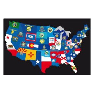 Lot de drapeaux des 50 états USA